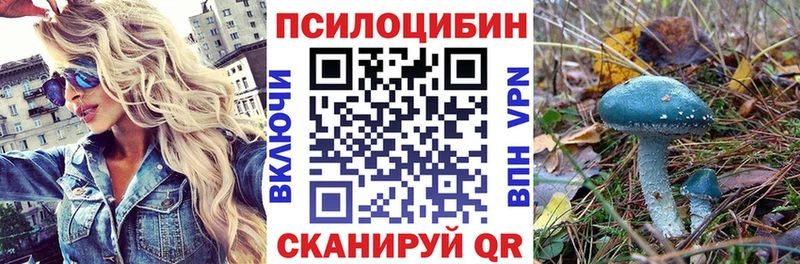 как найти закладки  Нягань  Псилоцибиновые грибы Cubensis 